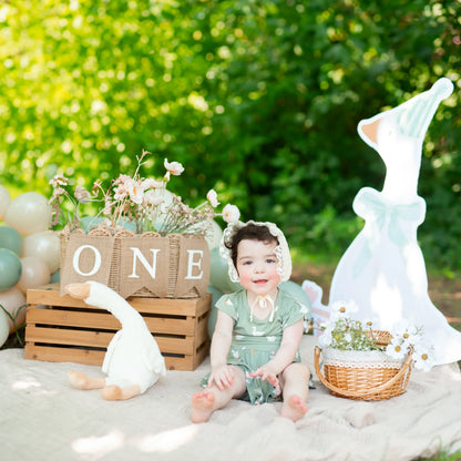Twirl Bodysuit Dress in Silly Goose
