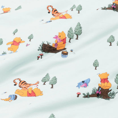Footie in Winnie the Pooh Hundred Acre Wood