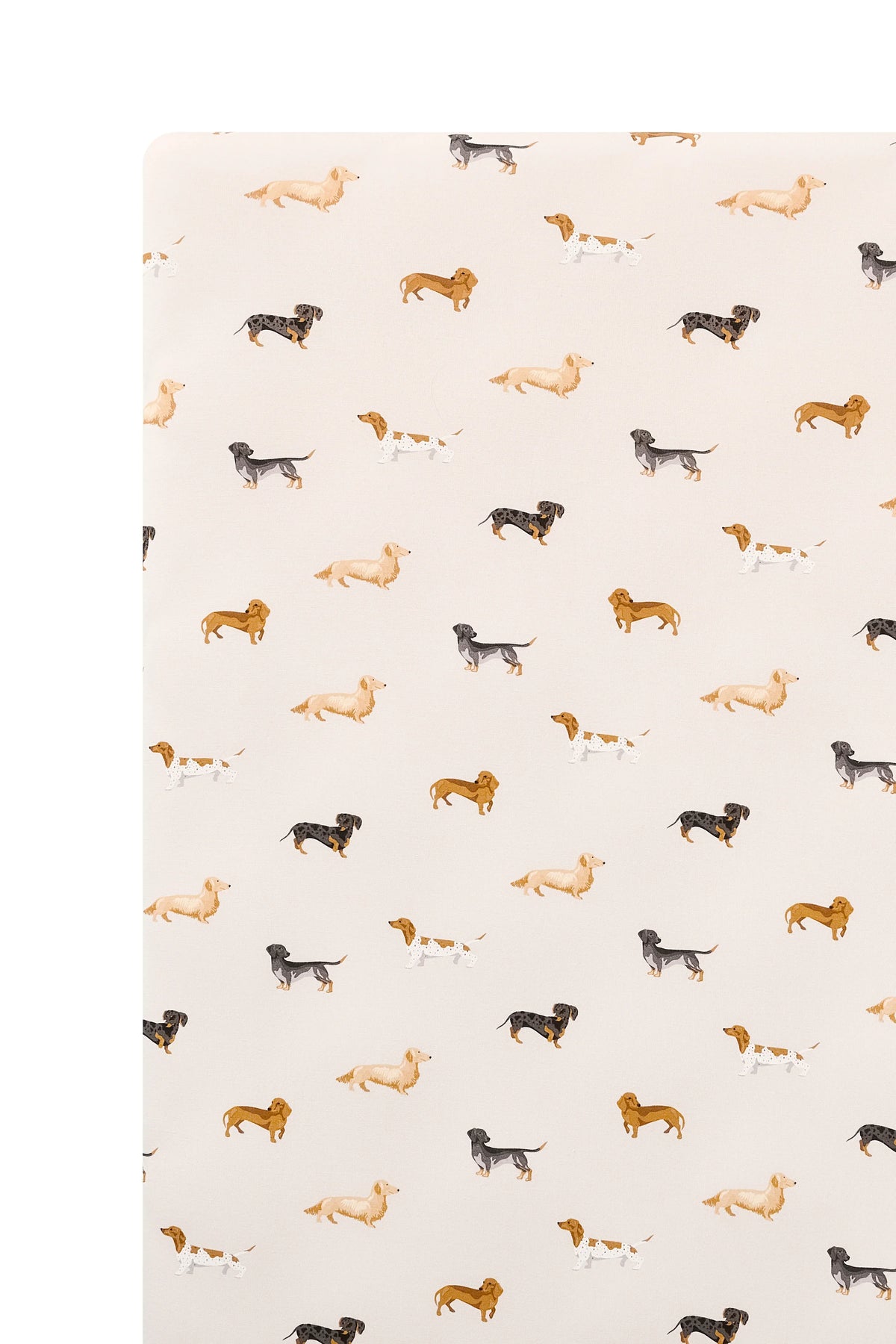 Twin Sheet in Dachshund